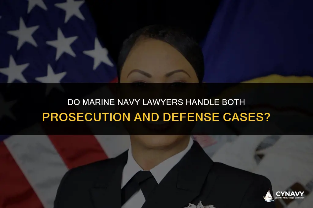 do marine navy lawyers share prosecuting and defense cases