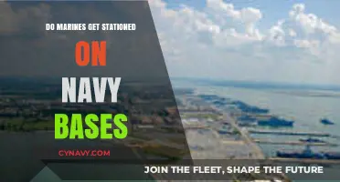Do Marines Serve on Navy Bases? Exploring Military Stationing Dynamics