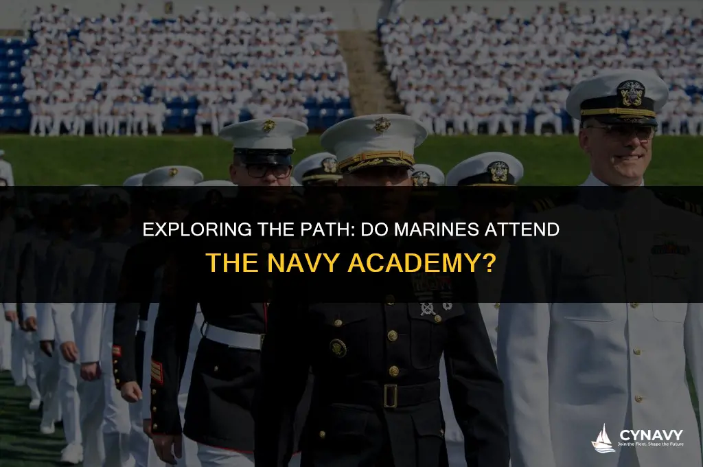 do marines go to the navy academy