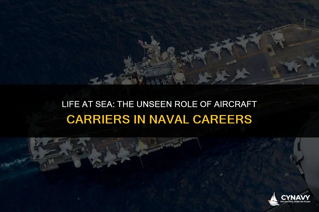 do most navy personal end up on aircraft carriers