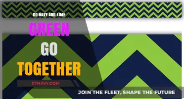 Exploring Color Harmony: Navy and Lime Green in Fashion and Design