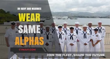 Exploring Uniformity: Do Navy and Marines Share the Same Alphas?