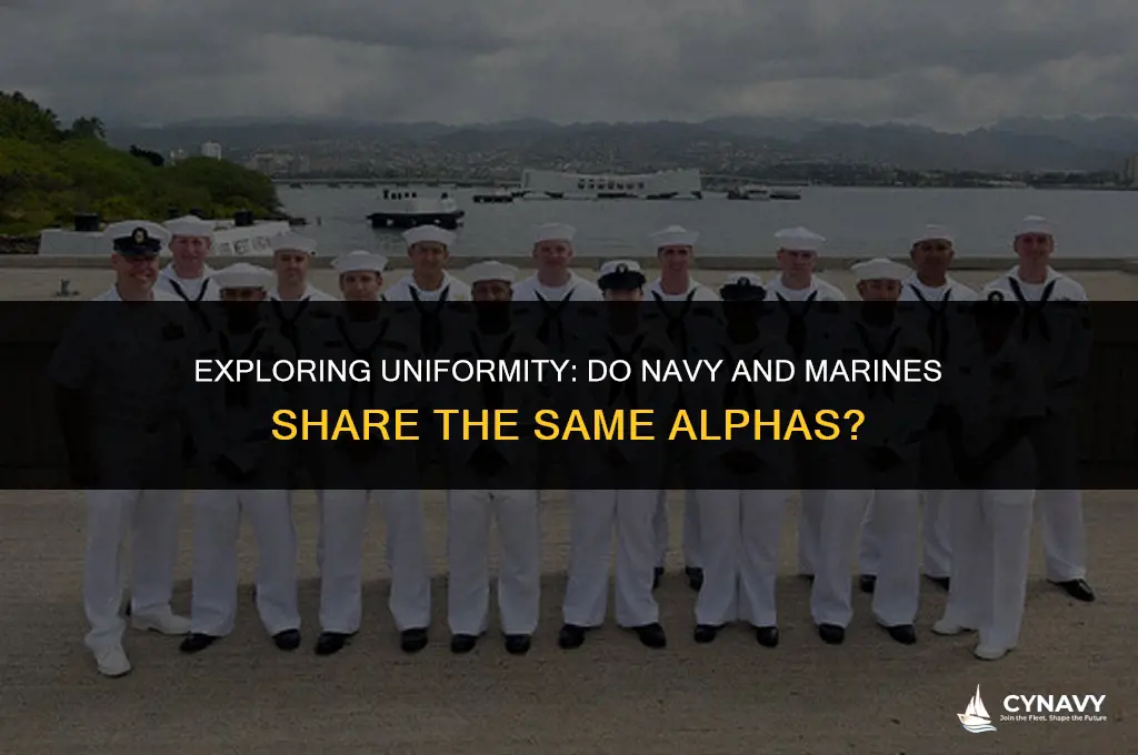 do navy and marines wear same alphas