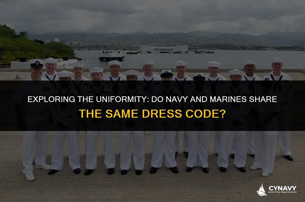 do navy and marines wear same day uniforms