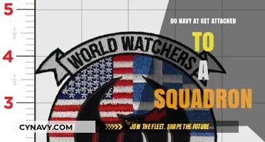 Do Navy Personnel Form Attachments to Their Squadrons?