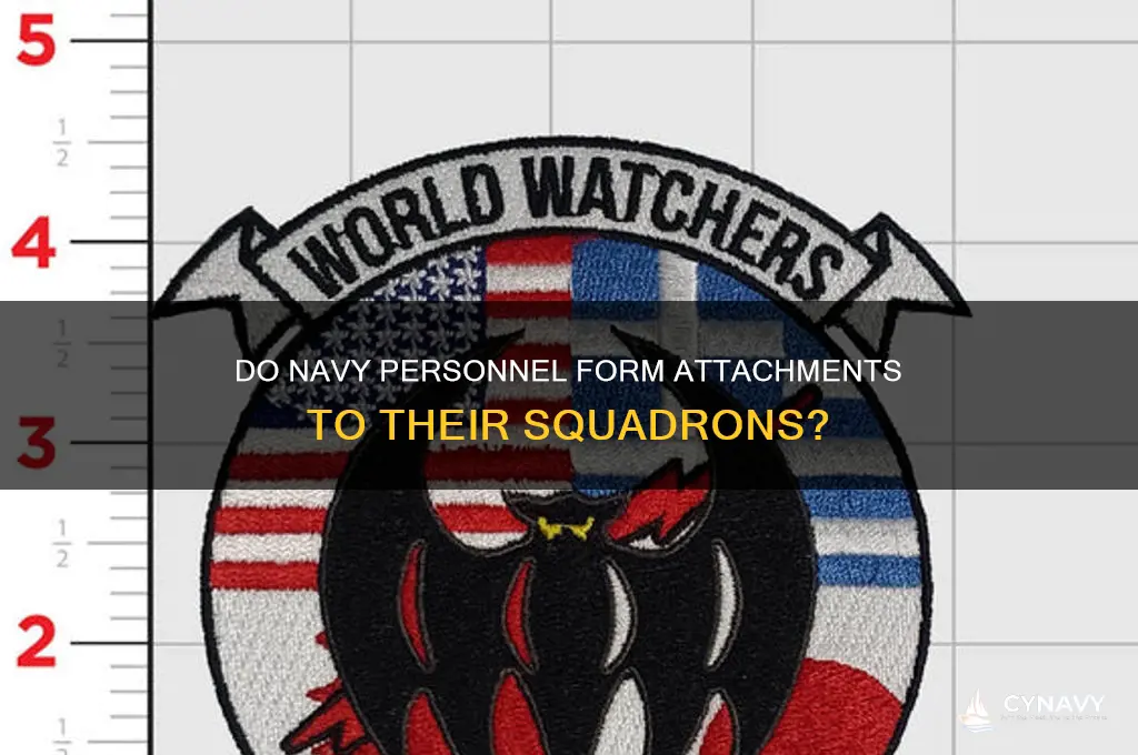 do navy at get attached to a squadron