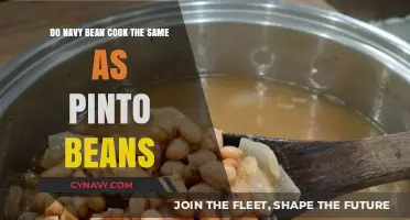 Comparing Cooking Times: Navy Beans vs Pinto Beans