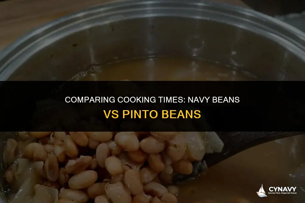 do navy bean cook the same as pinto beans