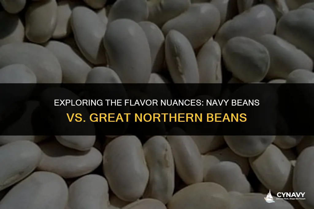 do navy beans and great northern beans taste the same