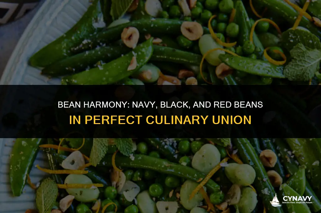 do navy beans black beans and red beans go together