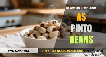 Cooking Time Comparison: Navy Beans vs Pinto Beans