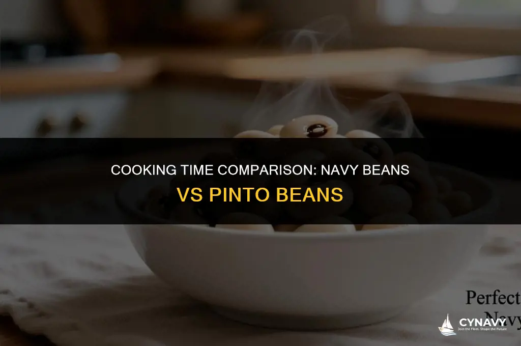 do navy beans cook as fast as pinto beans