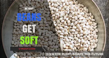 Do Navy Beans Get Soft? Cooking Tips for Perfect Texture
