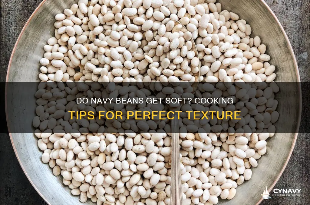 do navy beans get soft