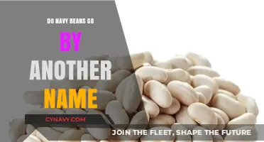 Unveiling the Alias: What's Another Name for Navy Beans?