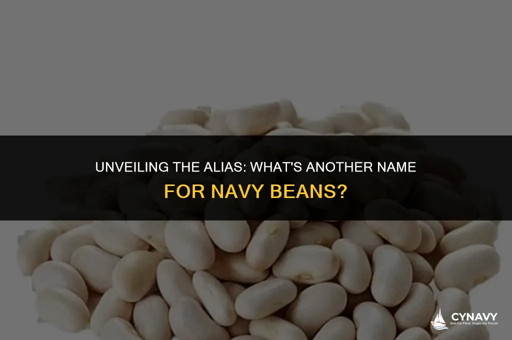 do navy beans go by another name