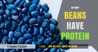 Protein Power: Unveiling the Nutritional Benefits of Navy Beans