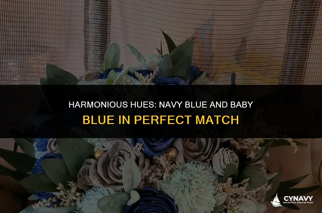 do navy blue and baby blue match