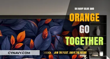 Exploring Color Harmony: Navy Blue and Orange in Design