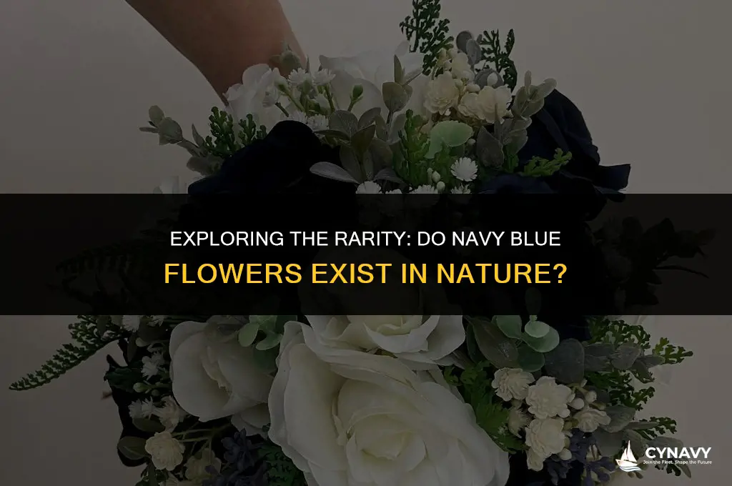 do navy blue flowers exist in nature