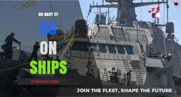 Exploring the High Seas: A Navy CT's Shipboard Adventures