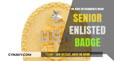 Do Navy Detachments Wear Senior Enlisted Badges?