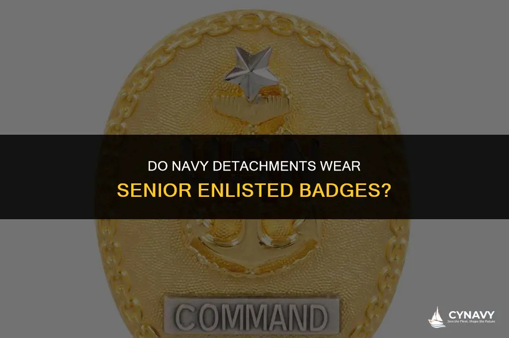 do navy detachments wear senior enlisted badge