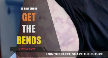 Do Navy Divers Get the Bends? Unraveling Decompression Risks