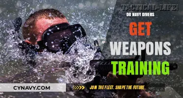Navy Divers and Weapons Training: What You Need to Know