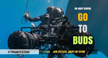 Exploring the Path to Becoming a Navy Diver: Beyond BUDS