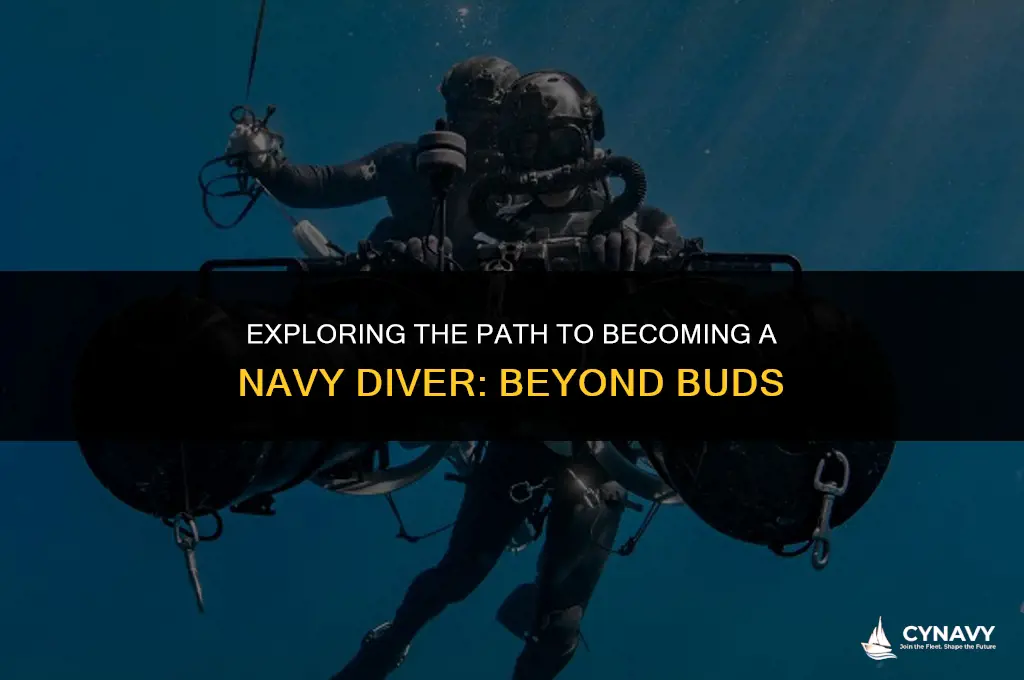 do navy divers go to buds