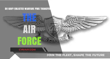 Exploring Cross-Branch Transfer: Navy Enlisted Warfare Pins in the Air Force