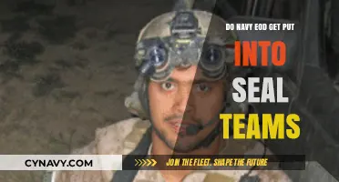 Navy EOD and SEAL Teams: Unraveling the Integration Myth