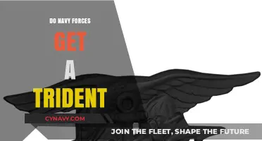 Do Navy Forces Receive a Trident? Unveiling the Symbol's Significance