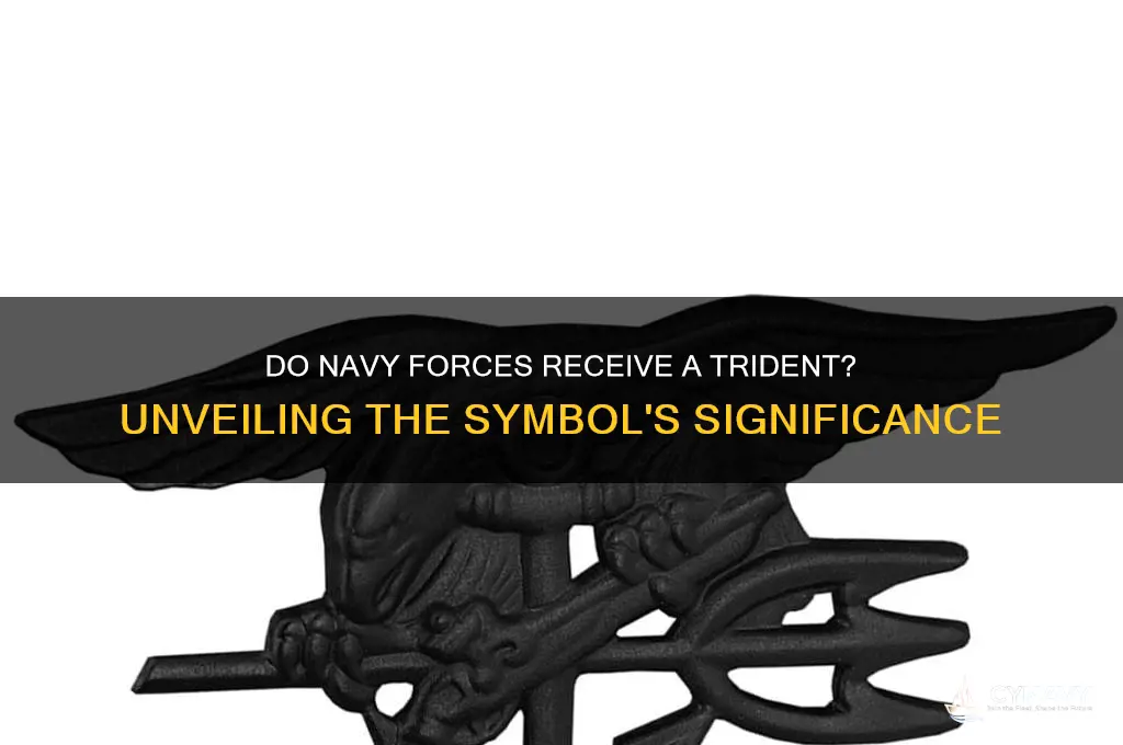 do navy forces get a trident