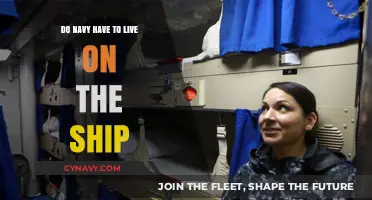 Life at Sea: Do Navy Personnel Always Live on Ships?