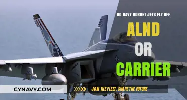Decoding Naval Aviation: Hornet Jets' Launch Platforms Revealed