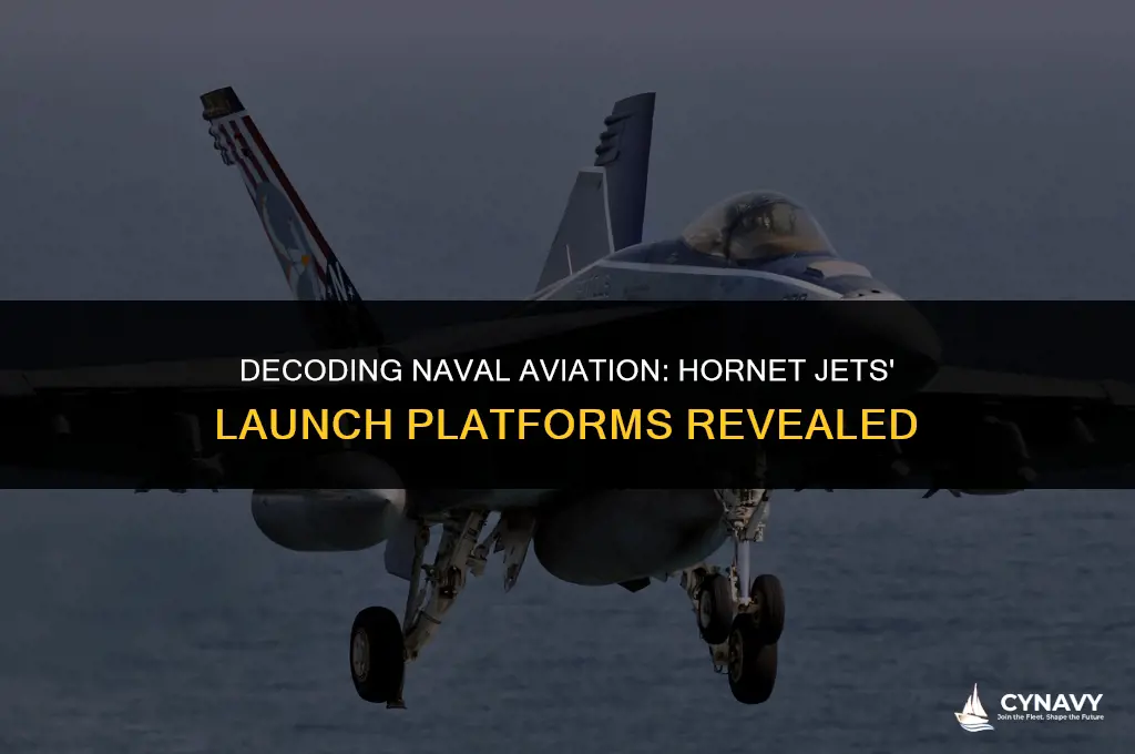 do navy hornet jets fly off alnd or carrier