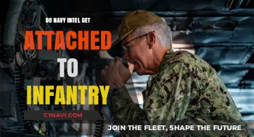 Navy Intel and Infantry: Understanding Their Collaborative Roles in Military Operations