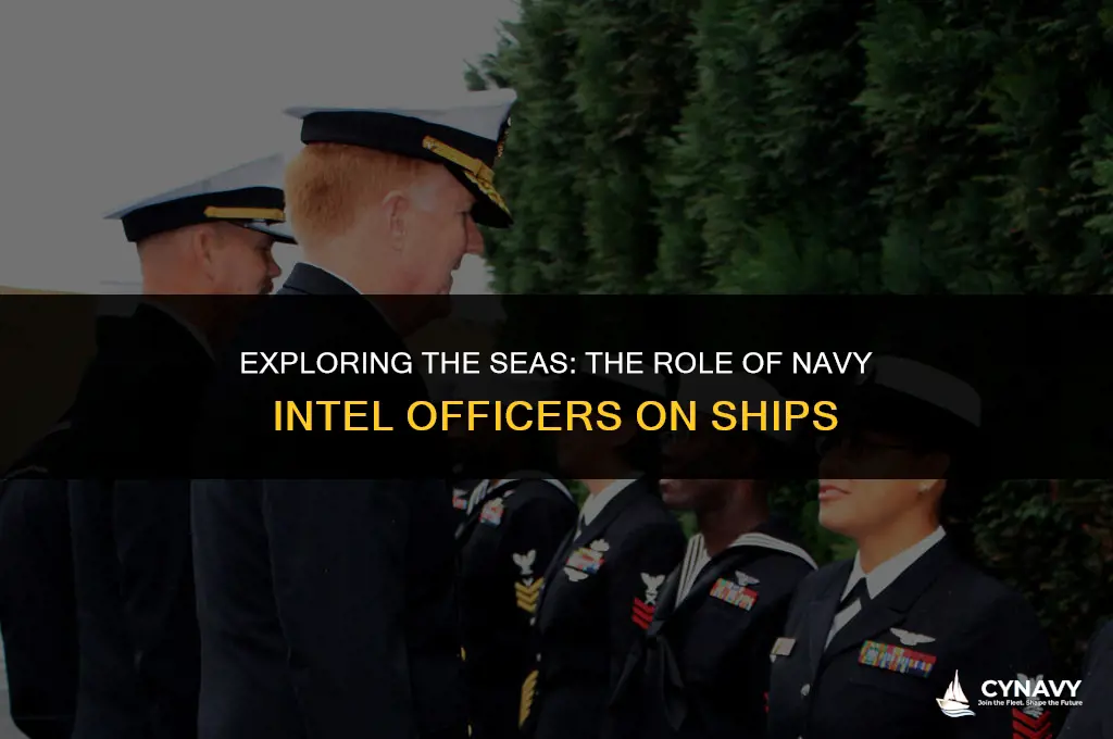do navy intel officers serve in ships