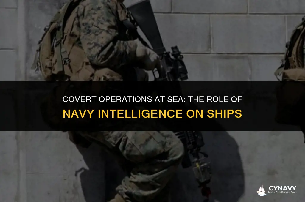 do navy intelligence deploy on ships