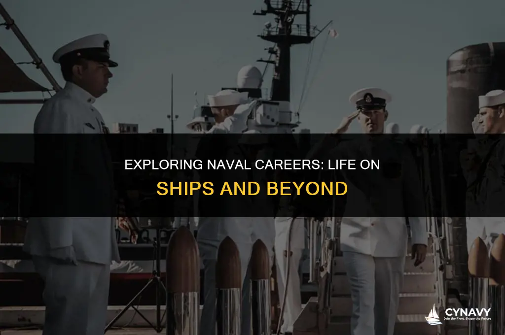 do navy is end up on ships
