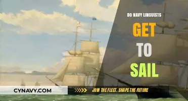 Do Navy Linguists Get to Sail? Exploring Their Role and Deployment
