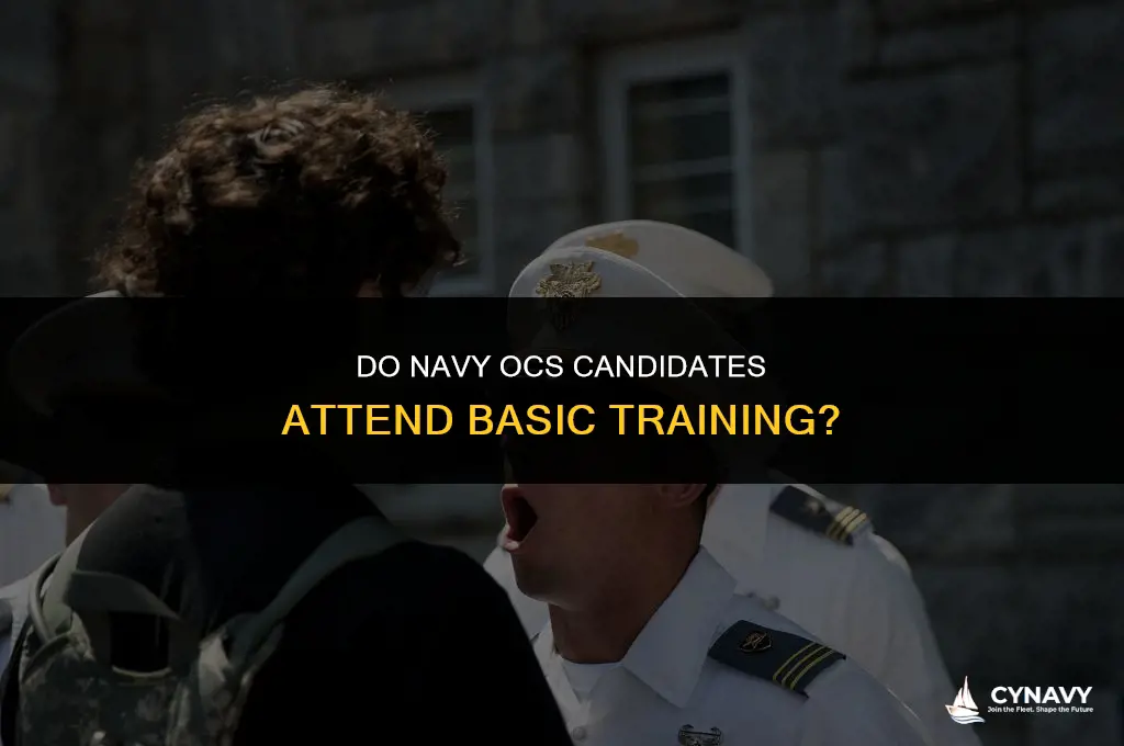 do navy ocs candidates go to basic training