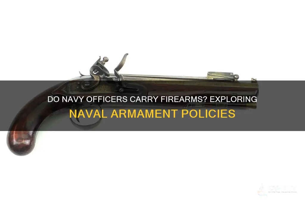 do navy officers get guns