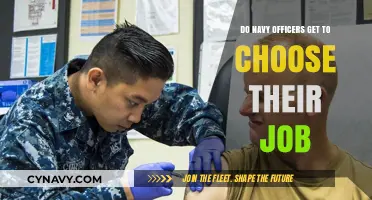 Can Navy Officers Select Their Career Paths? Exploring Job Assignment Flexibility