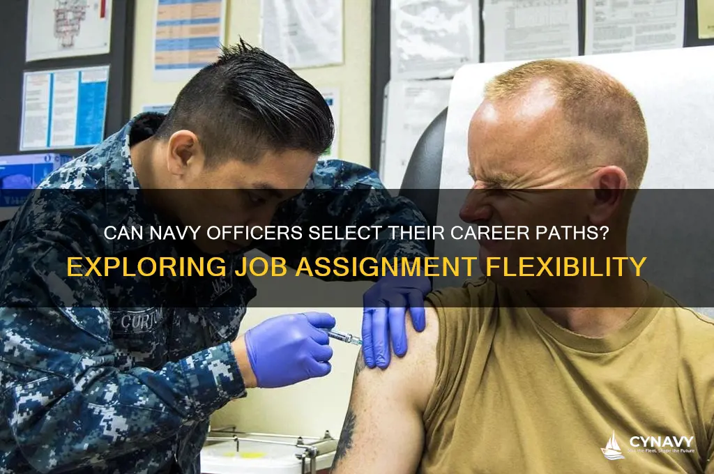 do navy officers get to choose their job