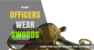 Tradition Meets Modernity: The Sword's Role in Navy Officers' Attire