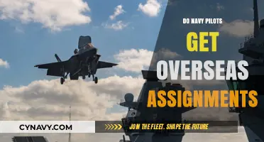 Do Navy Pilots Get Overseas Assignments? Exploring Deployment Opportunities