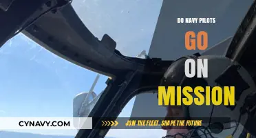 Behind the Scenes: Navy Pilots' Mission Readiness Revealed